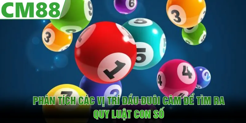 Phân tích các vị trí đầu đuôi câm để tìm ra quy luật con số