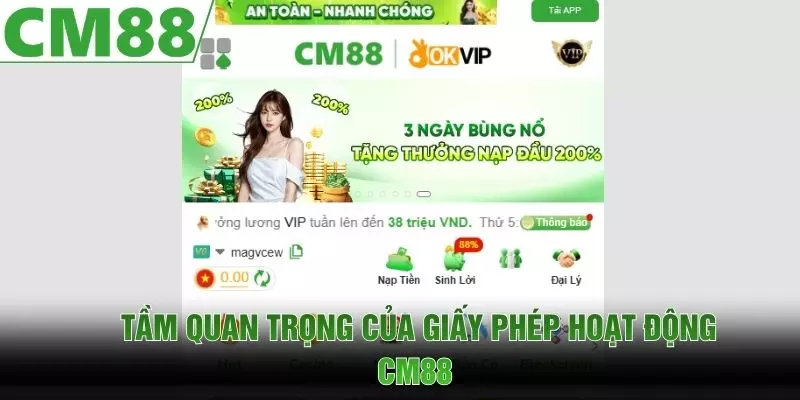 Tầm quan trọng của giấy phép hoạt động CM88